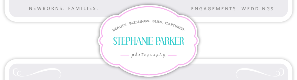 Newborn Family Wedding Photography in Christiansburg, VA >> Stephanie Parker Photography logo